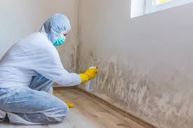 Reliable Hartford, IL Mold Remediation Solutions