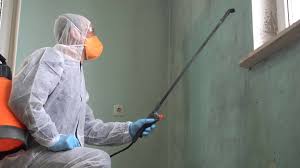 Why You Should Choose Our Mold Remediation Services in Placeholder8